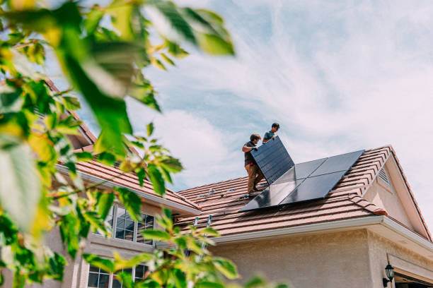 Best Roof Moss and Algae Removal  in Brooktrails, CA