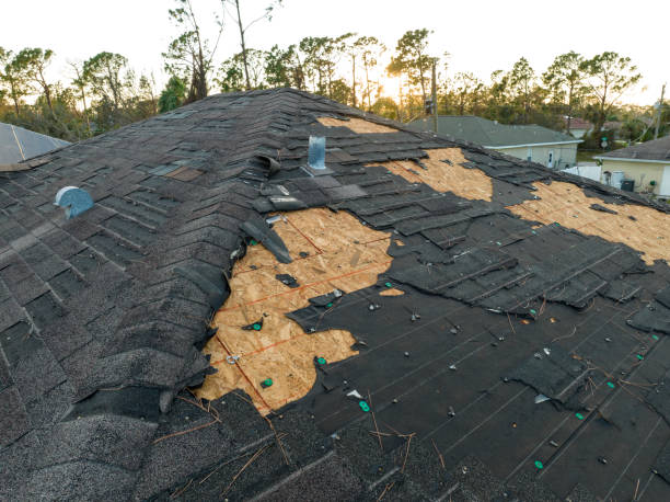 Best Steel Roofing  in Brooktrails, CA